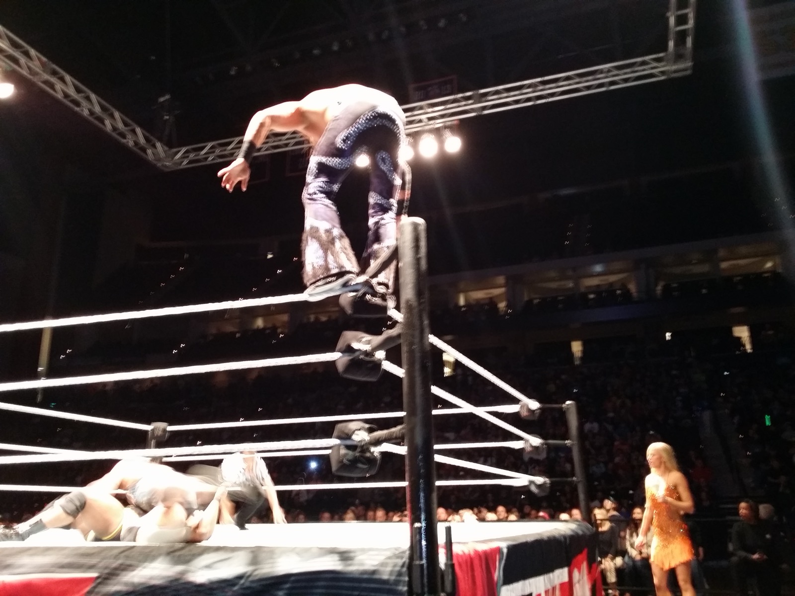 High-flying move off the top rope